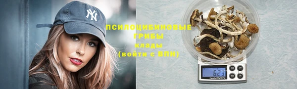 прущая мука Арсеньев