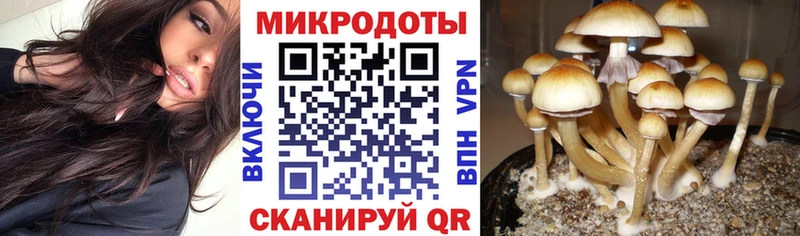Псилоцибиновые грибы Psilocybine cubensis  Купить закладки  Выкса 