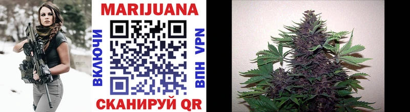 Купить закладки Выкса Конопля OG Kush